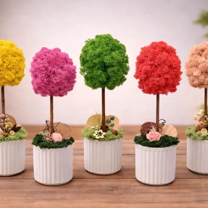 Pomișor decoratividin licheni stabilizați în ghiveci ceramic, disponibili in diverse culori