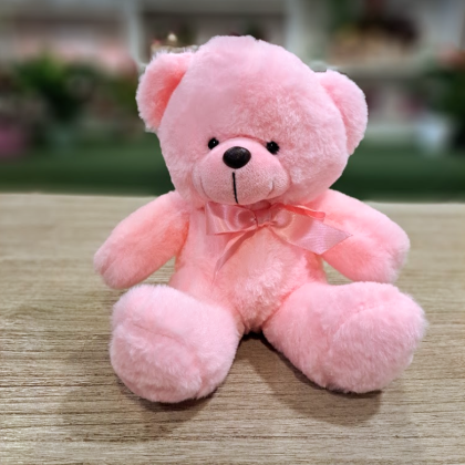 URSULEȚ DE PLUȘ mic