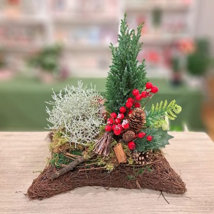 ARANJAMENT PLANTE ”Duo plants arrangement”