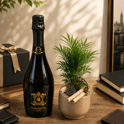 Cadou masculin elegant cu prosecco Cuvée Casanova și plantă Chamaedorea în ghiveci decorativ