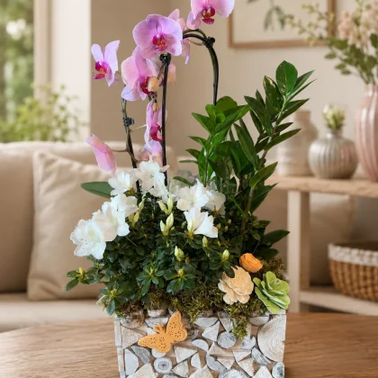 Aranjament cu orhidee Phalaenopsis roz, azalee albă și Zamioculcas în vas decorativ din lemn, ideal pentru cadou și decor interior.
