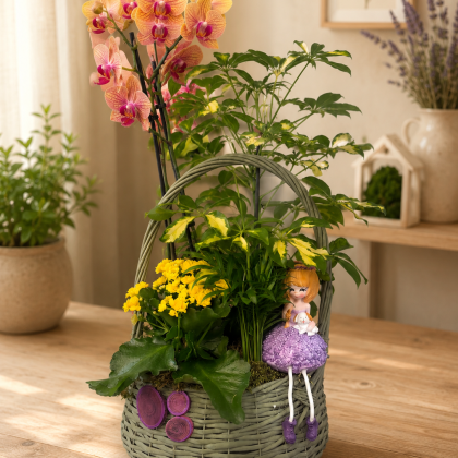 Aranjament cu plante naturale în coș decorativ cu orhidee Phalaenopsis, Schefflera, Chamaedorea, Kalanchoe și figurină decorativă.