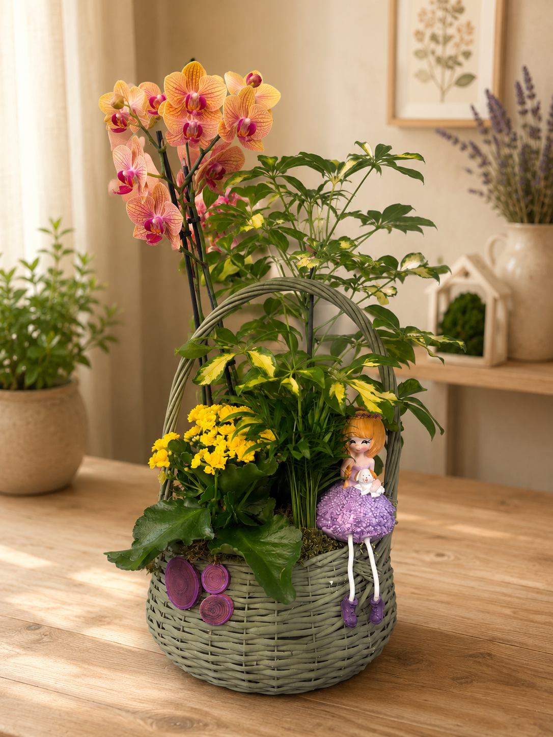 ARANJAMENT CU PLANTE ”Special basket” A Aranjament cu plante naturale în coș decorativ cu orhidee Phalaenopsis, Schefflera, Chamaedorea, Kalanchoe și figurină decorativă.