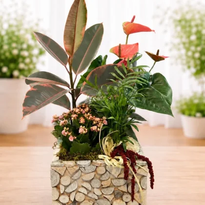 Aranjament decorativ cu plante și flori exotice în vas rustic din lemn